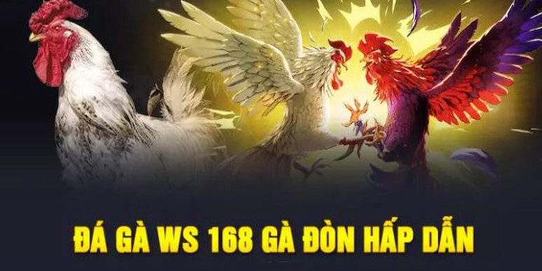 Ws168 - Nhà Cái Chọi Gà Chuyên Nghiệp, Công Bằng Nhất Hiện Nay 4 Thông tin rõ ràng tại ws168