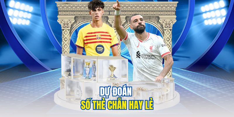 Dự đoán số thẻ chẵn hay lẻ